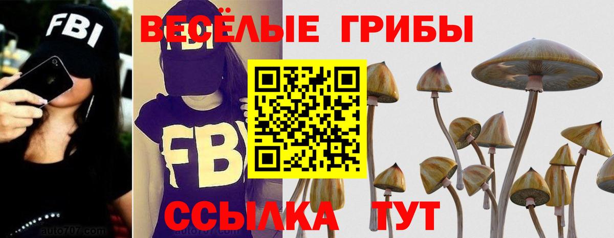 Псилоцибиновые грибы Magic Shrooms  Вход с VPN  Алатырь 